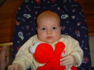 En söt, liten Lillan med sin älskade Elmo docka från Sesame Street. Vintern 2008.