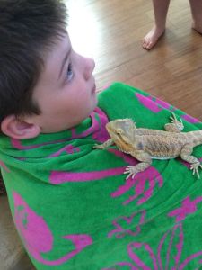 Sonen håller Sedona