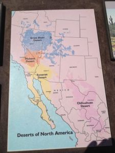 Den här kartan tyckte jag var intressant. Den visar de olika öknarna i USA och Mexico. Phoenix ligger mitt i Sonora öknen.