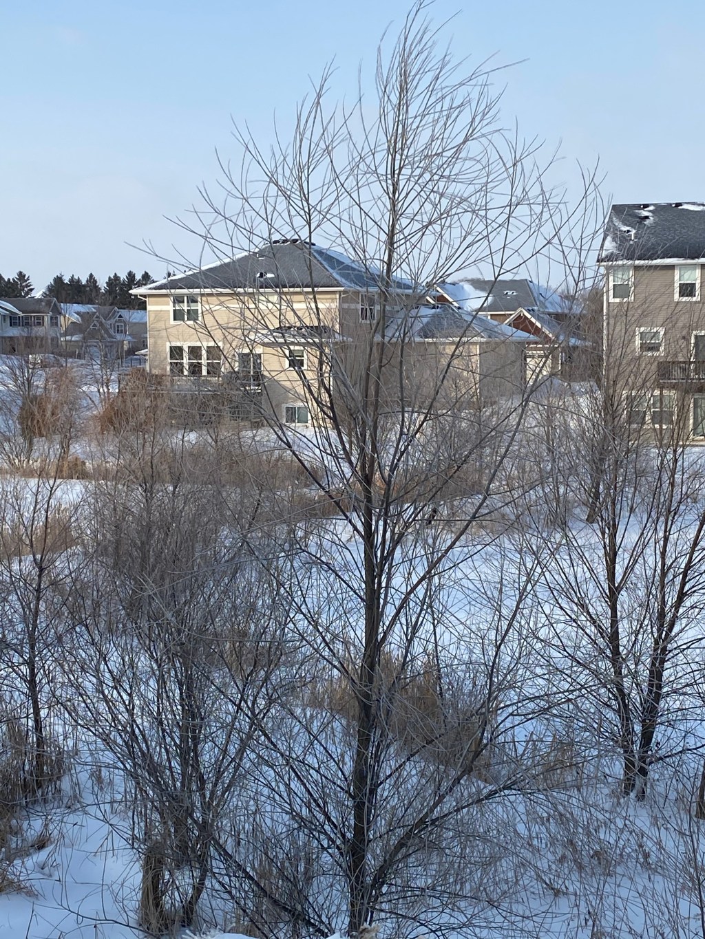 Vargavintern 2020….