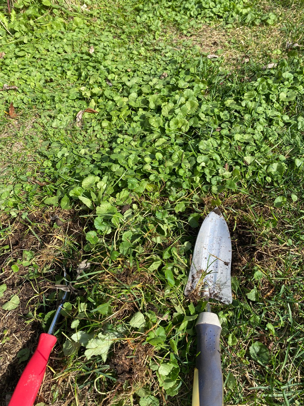 Söndagseftermiddagen då jag tampades med&nbsp;Charlie!