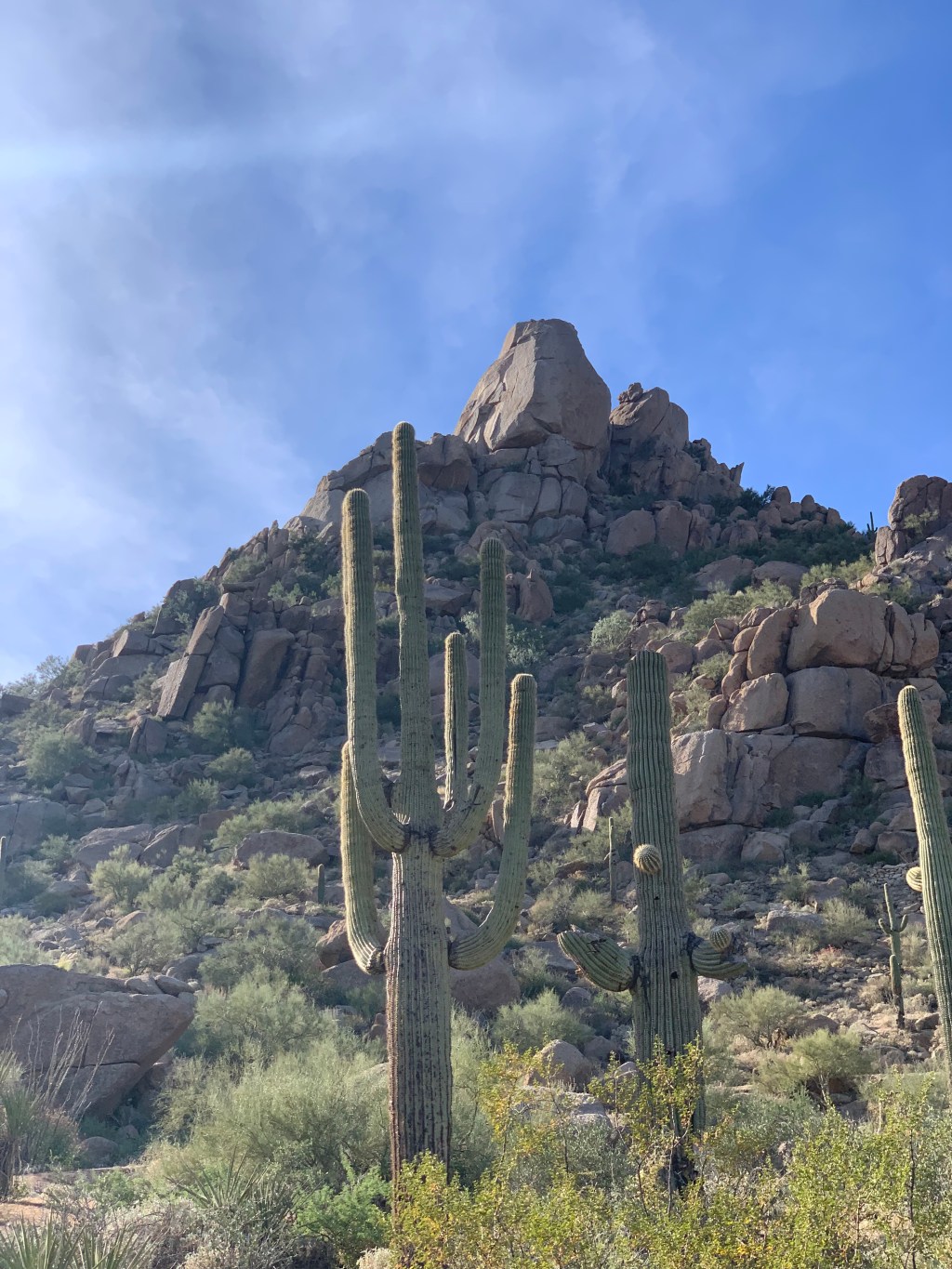 Olika världar en&nbsp;torsdagskväll