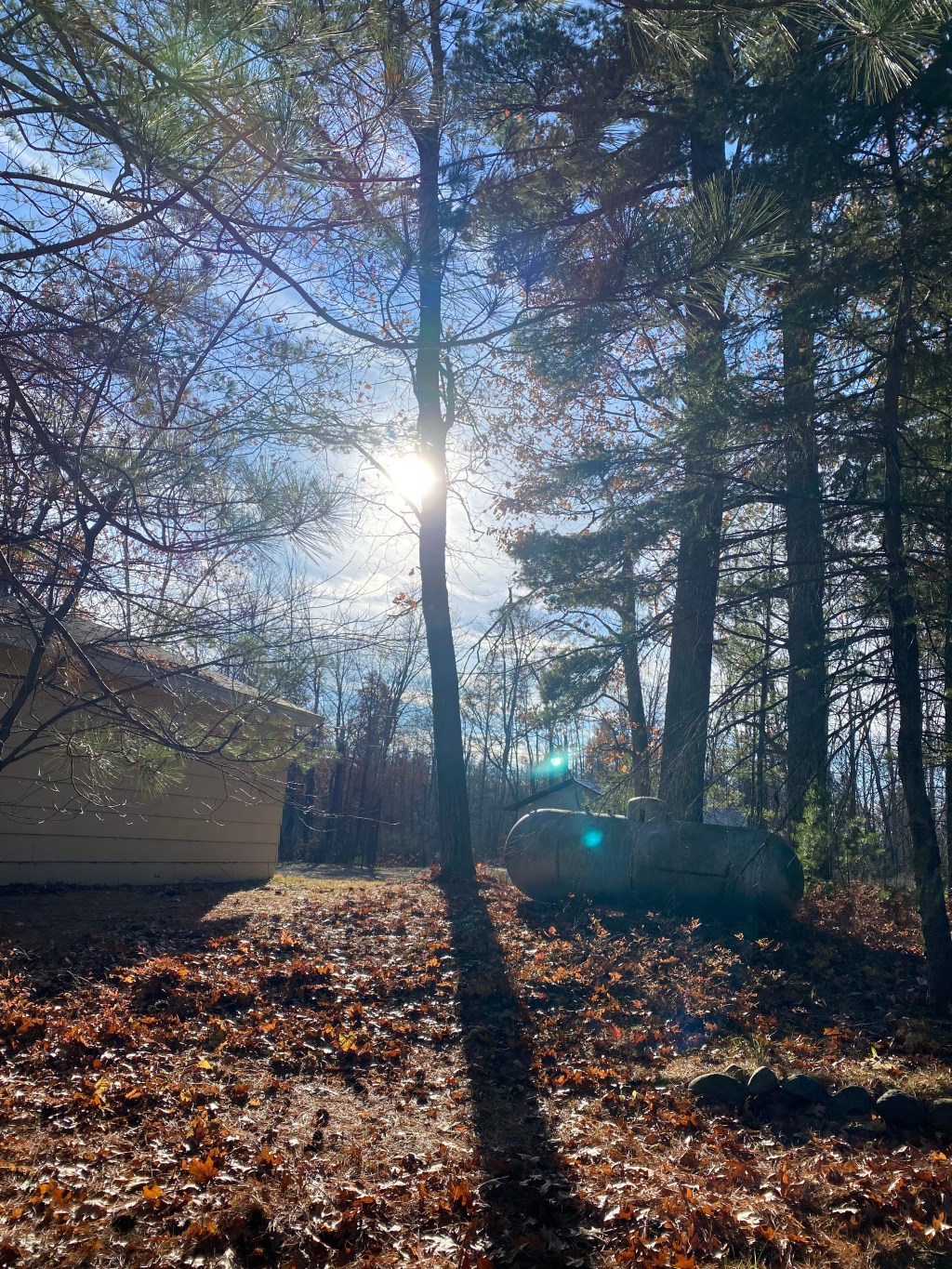 Det finns värre ställen att sitta&nbsp;på….