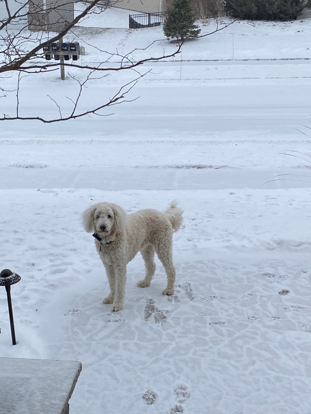 Snö och is i all&nbsp;ära….