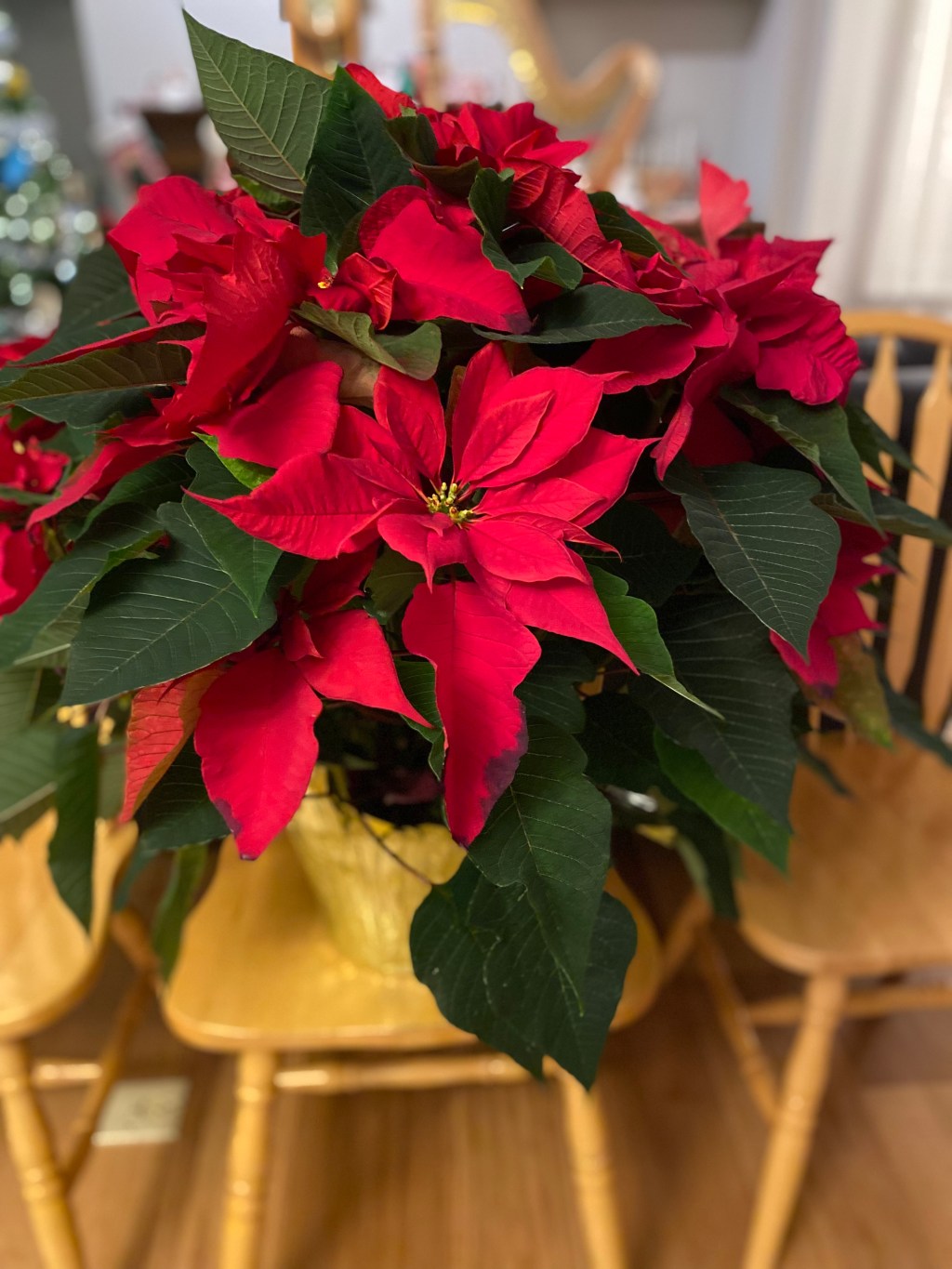 God fortsättning! ( Och en del&nbsp;annat)