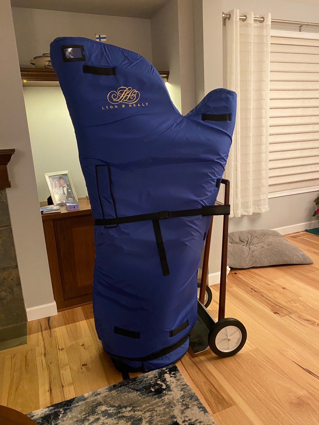 Övning ger (finger)färdighet