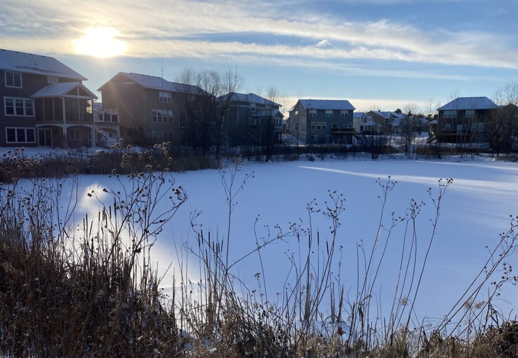 Ut i den bleka&nbsp;vintersolen….