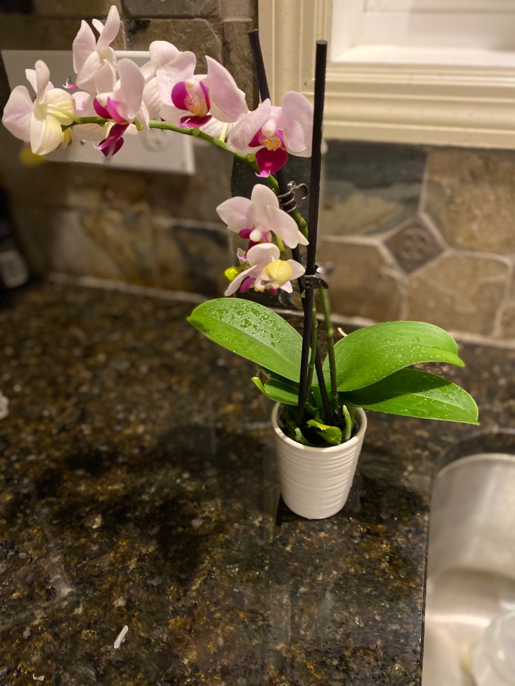 Söndagens lite av&nbsp;varje