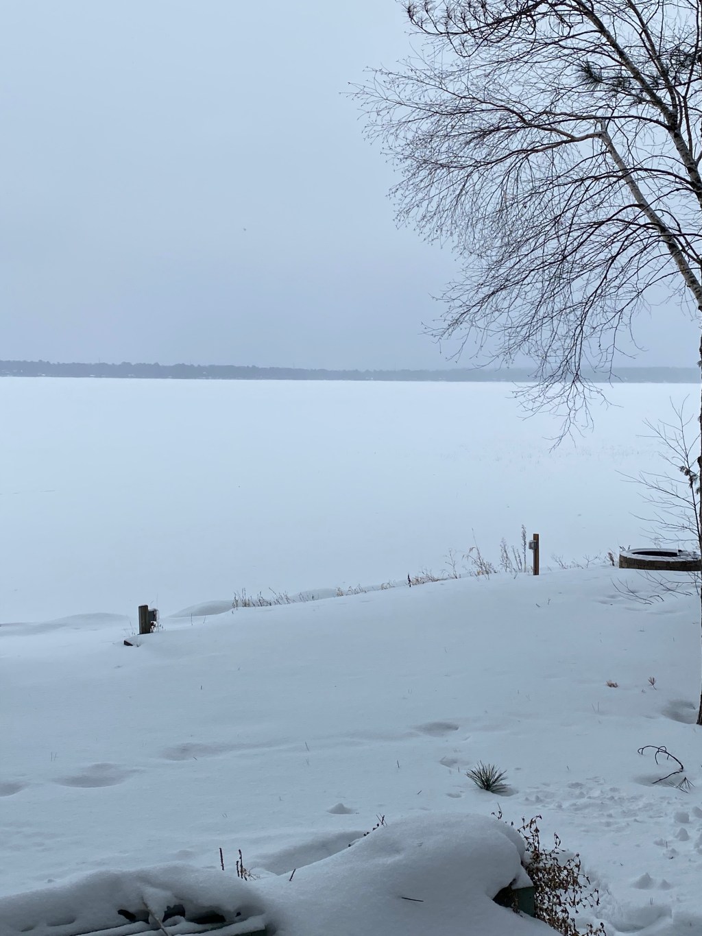 Hur korkad tror du jag är&nbsp;egentligen?