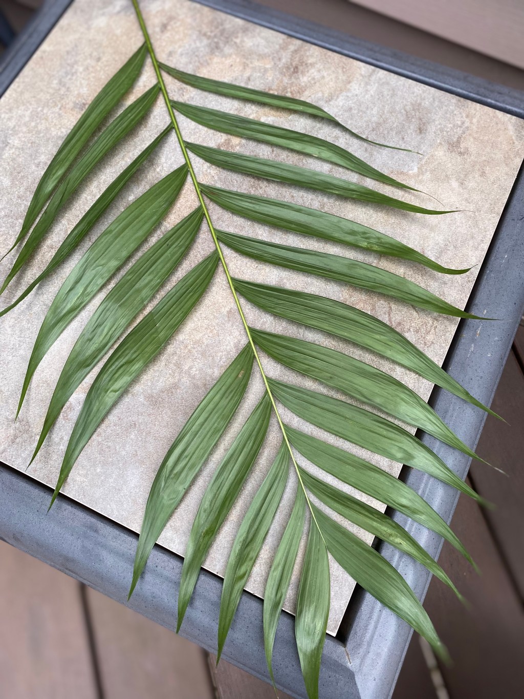 Helg….  som kulminerade i&nbsp;Palmsöndagen