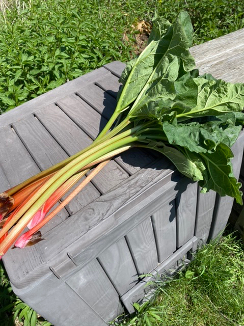 Första skörden….