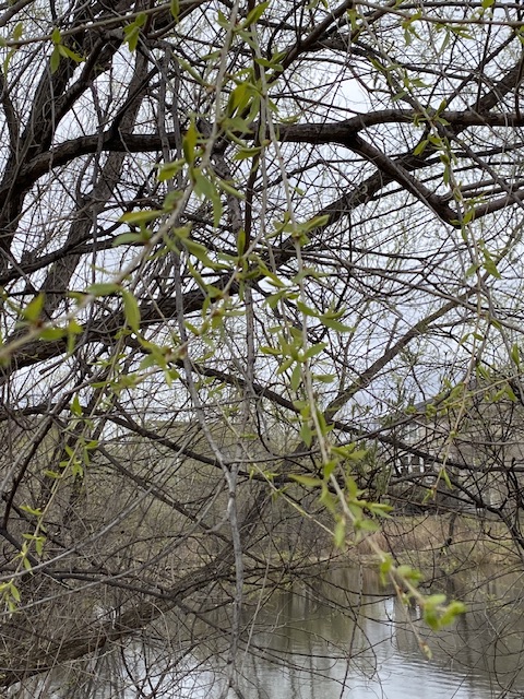 Avkopplande  med meditation