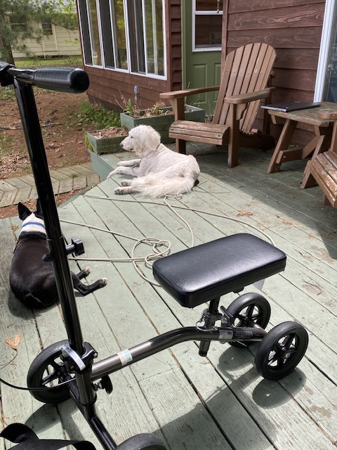 Stugtrevligt på en&nbsp;lördag