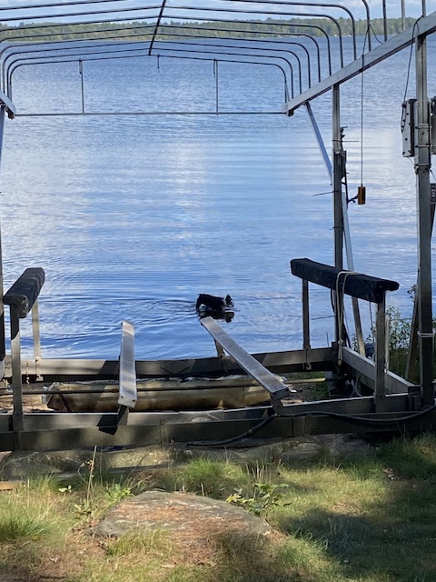 Ett spontant, snabbt&nbsp;beslut…