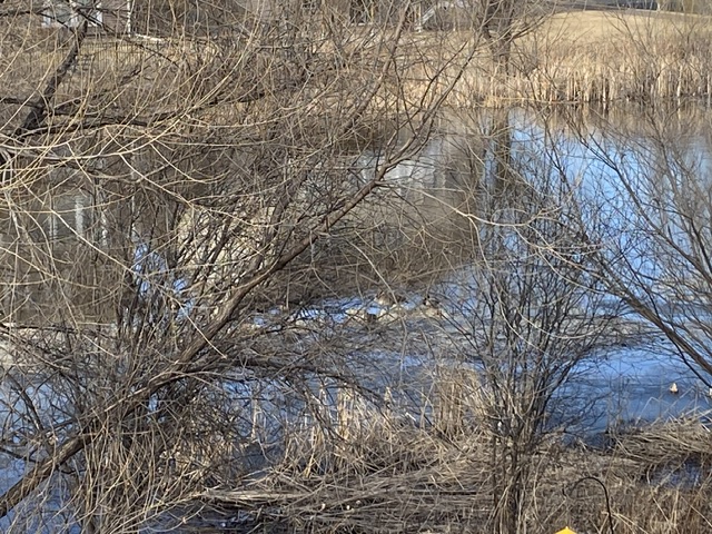 St. Patrick’s Day…