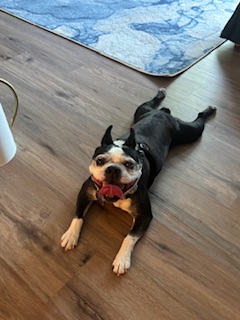 Trots värmen och de hårda&nbsp;vindarna…