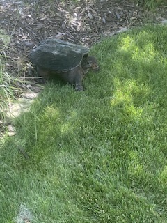Måndag med mycket eminent&nbsp;besök