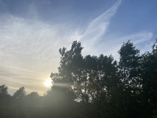 Äntligen….  Är det nästan&nbsp;tyst