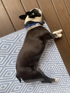 Åter tillbaka till det&nbsp;normala…