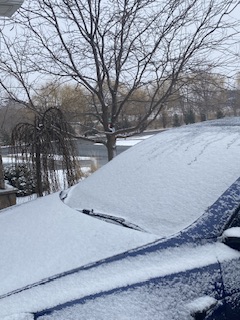 Det är ju klart som korvspad…