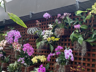 En lördagseftermiddag (nästan) i&nbsp;tropikerna