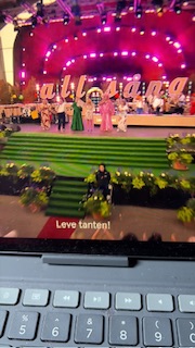 Leve tanten!